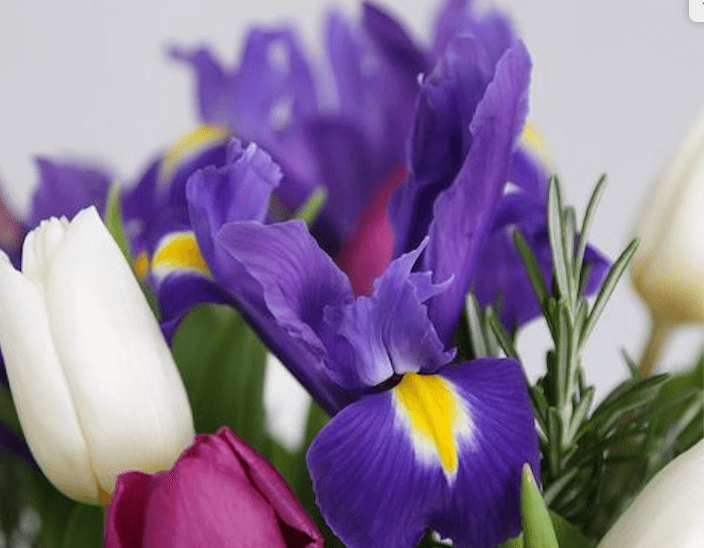 april-bouquet1 April 2018 Spring April Bouquet Deal