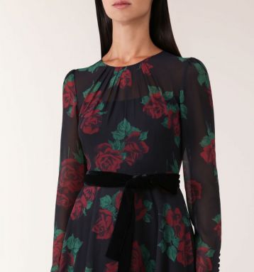 Hobbs Lolita Rose Print Dress Black Red