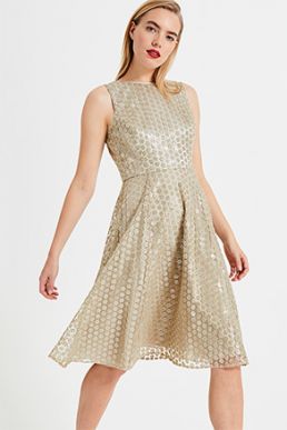 Phase Eight Imani Sequin Embroidered Flower Dress Gold