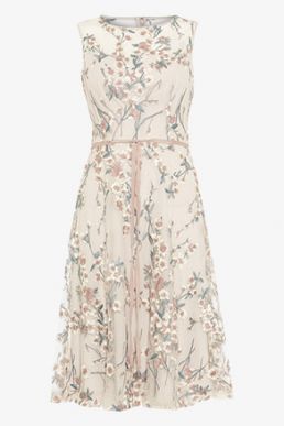 Phase Eight Maddy Fit and Flare Embroidered Dress Oyster Multi