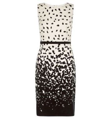 Hobbs Arabella Print Dress Black White