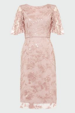 phase eight seraphina dress