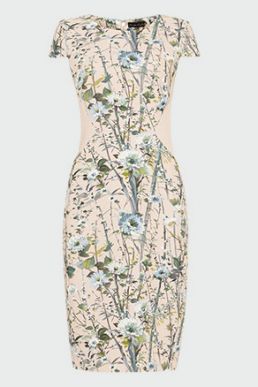 Phase Eight Katarina Floral Dress Blush Multi