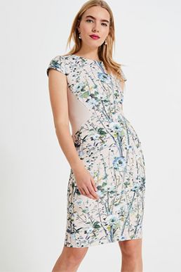 Phase Eight Katarina Floral Dress Blush Multi