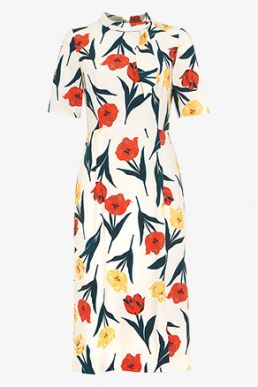 Phase Eight Melinda Floral Printed Dress White Multi