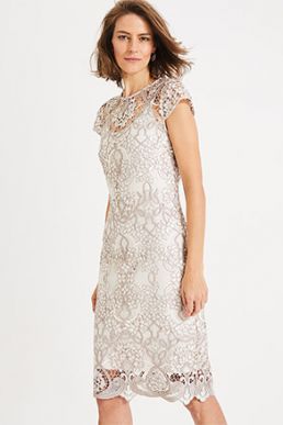 Phase Eight Frances Lace Shift Dress Champagne Oyster