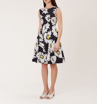 hobbs daisy dress