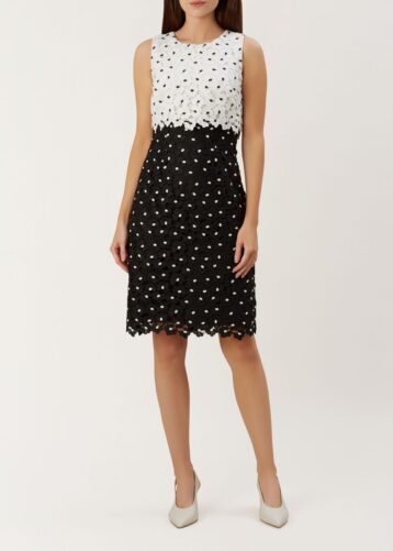 hobbs daisy dress