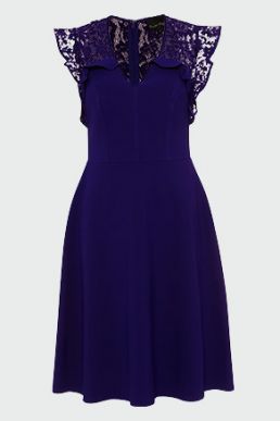Phase Eight Macie Lace Dress Royal Blue