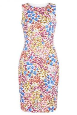 Hobbs Fiona Floral Shift Dress White Multi