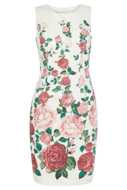 Hobbs Victoria Rose Shift Ivory Multi Blush