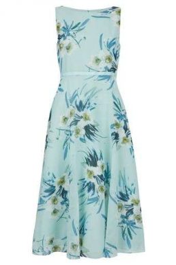 Hobbs Carly Floral Print Dress Blue Multi