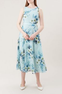 Hobbs Carly Floral Print Dress Blue Multi