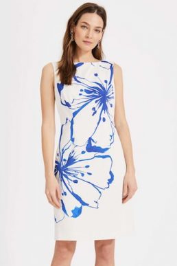 Phase Eight Silva Floral Print Dress White Blue
