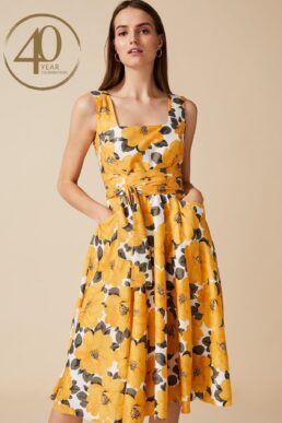 Phase Eight Stephanie Floral A-Line Dress Yellow White