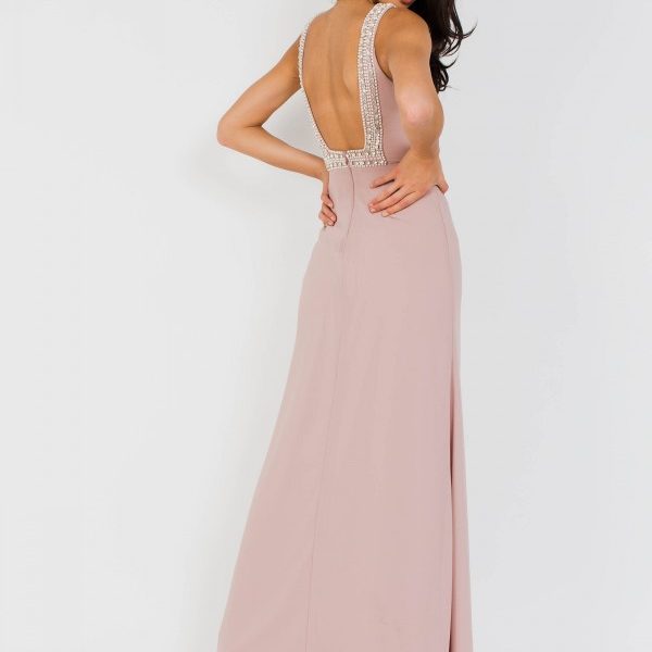 tfnc riva pale mauve maxi embellished dress