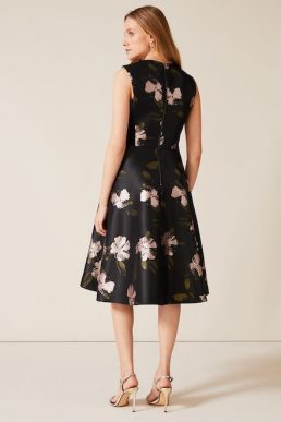 Phase Eight Sandy Floral Jacquard Dress Black Multi