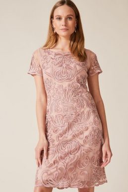 Phase Eight Talia Embroidered Dress Pale Pink Blush