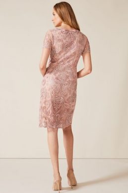 Phase Eight Talia Embroidered Dress Pale Pink Blush