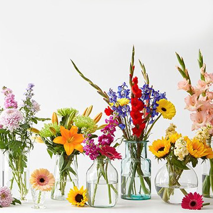 blog-ms-15-off-flower-code-now-live M&S 15% off Flower Code now Live!