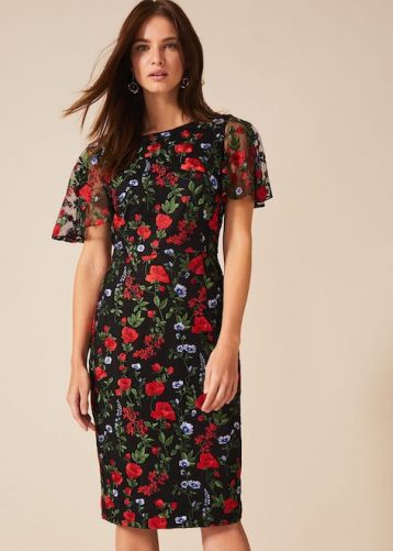 Phase Eight Dorothea Embroidered Dress Black Red Multi