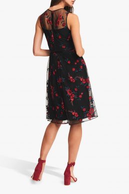 Phase Eight Maylin Fit and Flare Dress Black Scarlet Red