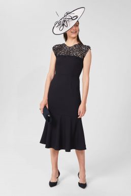 Hobbs Anastasia Lace Fit And Flare Dress Navy