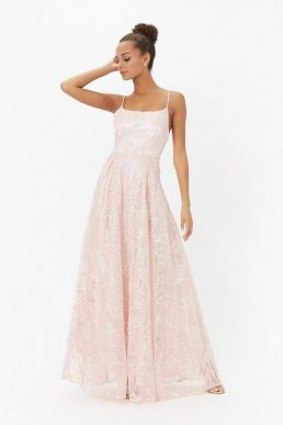 Coast Embroidered Full Skirt Maxi Dress Blush Light Pink