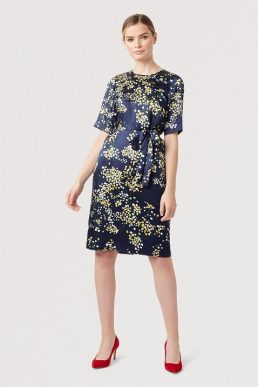 Hobbs Madeline Floral Sleeve Print Dress Navy Multi