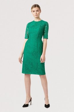 Hobbs Penny Lace Sleeve Dress Meadow Green