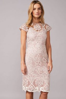 Phase Eight Frances Lace Fitted Dress Pale Pink Blush