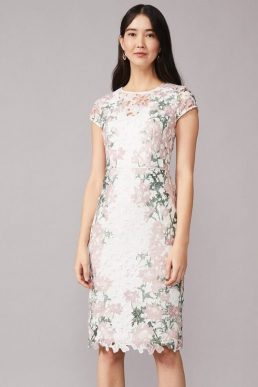 Phase Eight Kyra Lace Shift Dress Ivory Antique Rose