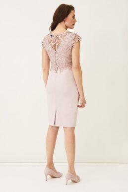 Phase Eight Mariposa Double Layered Dress Antique Rose Pink Blush