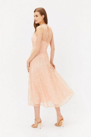 Coast Embroidered High Neck Mesh Midi Dress, Blush/Pale Pink - Image 2