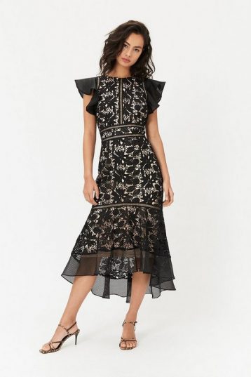 Coast Floral Lace Frill Sleeve Dress Black Nude