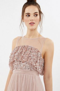 Coast Sequin Angel Sleeve Sequin Maxi Dress Blush Pale Pink