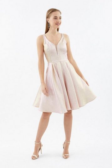 Coast Embellished Back Skater Dress Blush Pale Pink