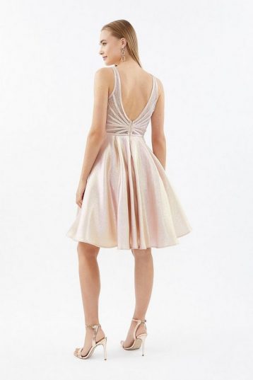 Coast Embellished Back Skater Dress Blush Pale Pink