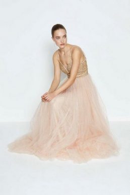 Coast Jewelled Bodice Maxi Dress Blush Pink Gold