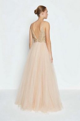 Coast Jewelled Bodice Maxi Dress Blush Pink Gold