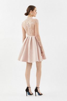 Coast Lace Bodice Fit And Flare Dress Blush Pale Pink