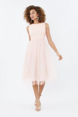 Coast Tulle Ruched Bodice Midi Dress Blush Pale Pink
