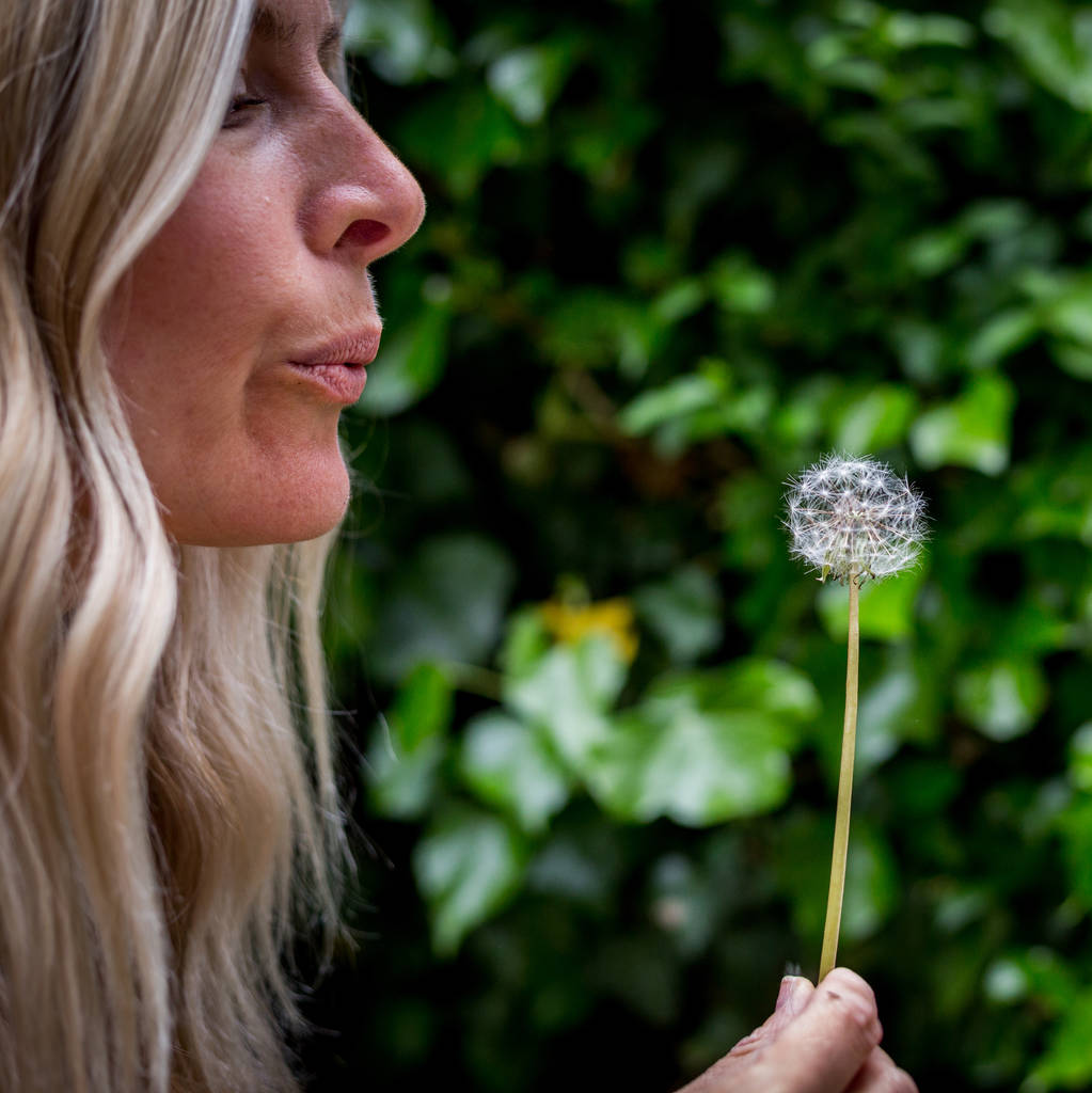 original_mindfulness-course-three-retreats