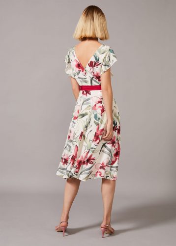 Phase Eight Carlotta Floral Dress, Cream/Multi - Image 2