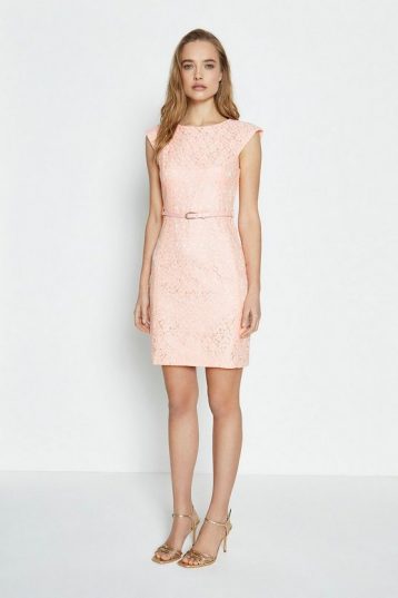Coast Lace Belted Cap Sleeve Dress Light Pink Blush