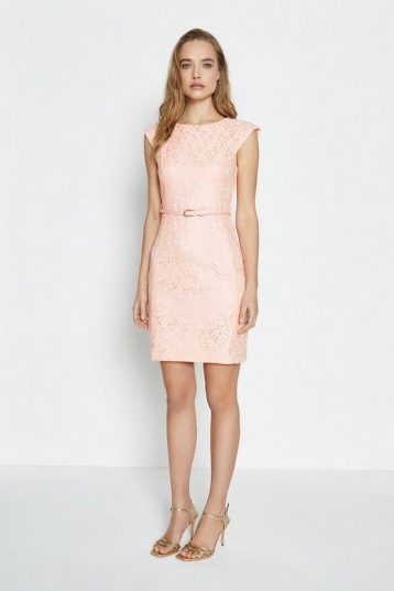 Coast Lace Belted Cap Sleeve Dress Light Pink Blush