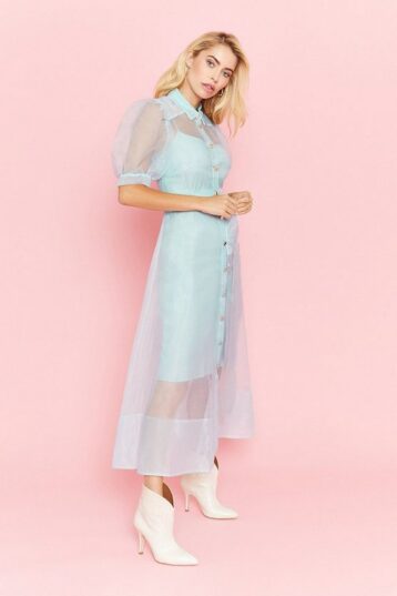 Coast Organza Puff Sleeve Dress, Light Blue - Image 2