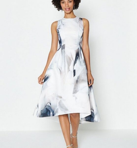 coast felicity printed pleat dress