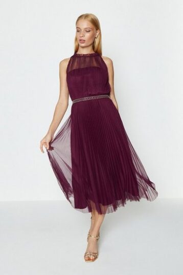 Coast Mesh Pleated Midi Dress Merlot Berry