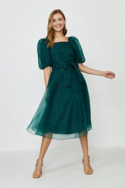 Coast Organza Tie Waist Midi Dress Green